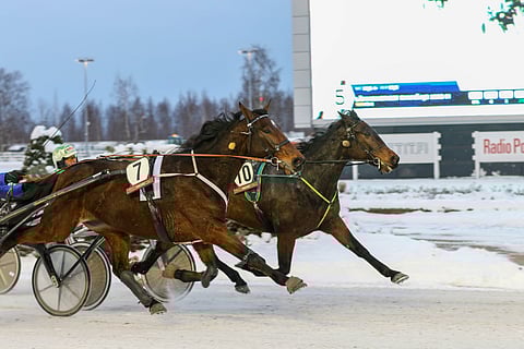 Got To Goo (7) oli yksi Porin Kavioliiga-ravien voittajista.