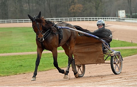 Calgary Games ja Timo Nurmos hiitillä Grosboisin valmennuskeskuksessa. Kuva: