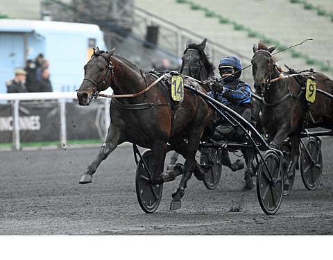 Idao de Tillard voitti Prix de Croixin.