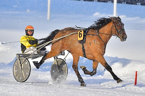 Exclusive Matter oli päätöskohteessa täysin omaa luokkaansa.