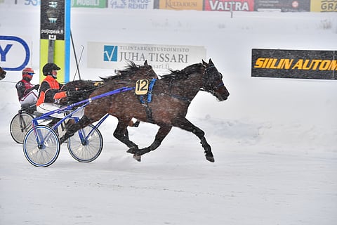 Maria Kurttilan Toto75-hymy oli leveä, kun Alladin Bro kirmasi kärkeen.