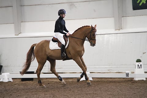 Vaihtoja harjoiteltiin uralla vastalaukasta.