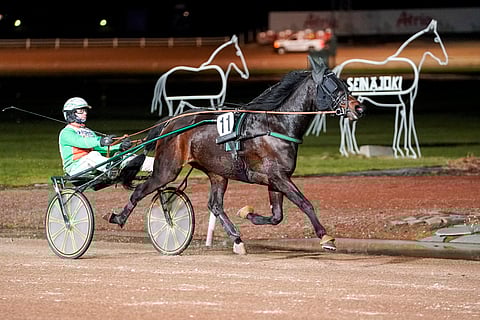 Ville Pohjola ohjasti Seinäjoella Sweet Goldin ykköseksi.