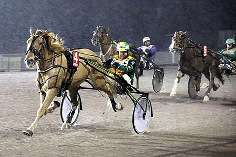 Avotin viimeisin voitto on lokakuulta 2021 Vermosta.