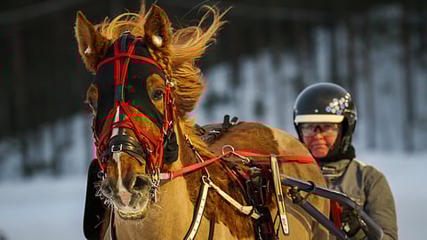 Mirva Janatuinen kertoo tämän päivän odotukset Tähtitien kanssa.