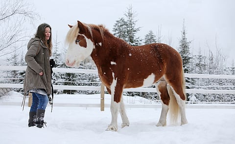 Riikin Taaleri, suomenkirjava persoona. 