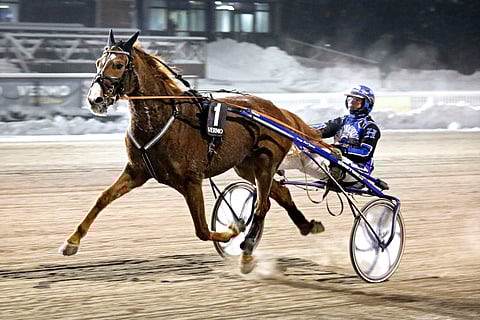 Space Oddity on voittanut urallaan jo 12 kertaa.