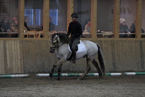 Perttu Pasuri kokeilee Hillan Jarrania.