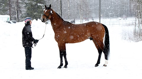 Religious tekee paluun radoille.