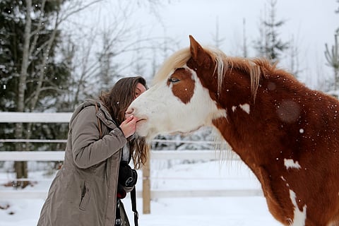 Suomenkirjavuus näkyy Riikin Taalerissa. 