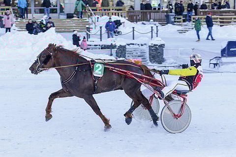 Henri Bollström tuntee Matteus Kevättömän.