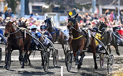 Ampia Mede Sm kirii voittoon ohi Harlem de Bucyn.