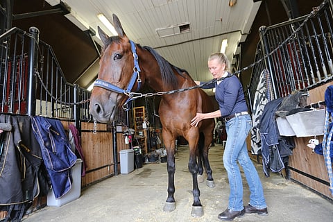 Tätä työtä tehdään koko sydämellä ja koko kropalla. 