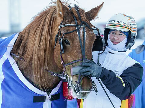 Siirin Veeti palaa Joensuun Linnunlahdelle tauolta.