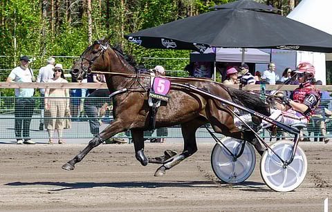 Endless Storyn taustajoukot ovat malttaneet edetä sen kanssa hitaasti. Nyt tamma palkitsee kärsivällisyyden. 