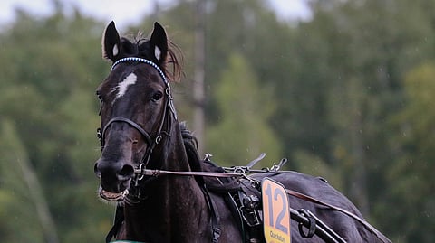 Quickatoren toivotaan valmentajanvaihdoksen myötä löytävän piristystä otteisiinsa.