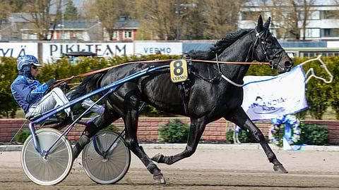 Samvaisin uran voittomäärä on 7, voittosumma 42 891 euroa ja ennätys 11,6.