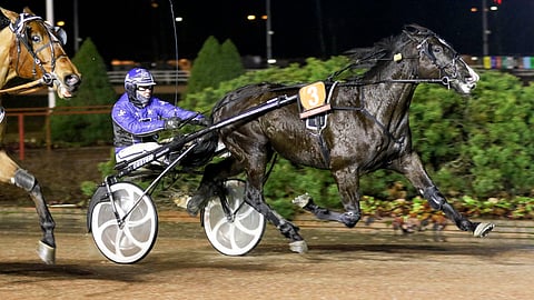 Edward Snipes on Jussi Tomperin ja Johanna Kurpan kasvatti.