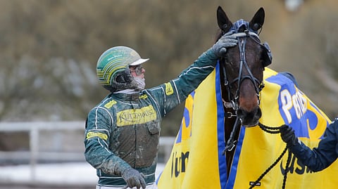 Skyfall Shine ja Hannu Torvinen voittivat viime lauantaina Vermosa 75-lähdön. Valjakko on Teivon kierrokselle hyvä varmavalinta.