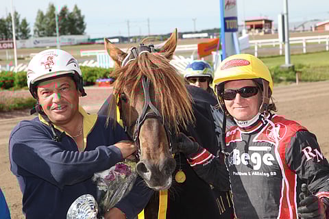 Rainer Böllström (vas.) ja hänen elämänsä  hevonen Vilkkaan Virke.