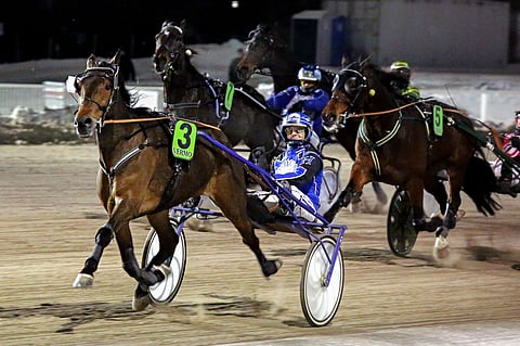 Callela Ikaros kilpailee seuraavaksi Ruotsissa.