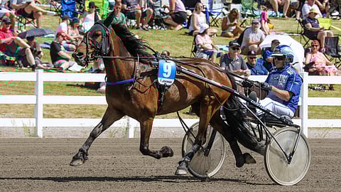 Tutuks ja Jarmo Saarela starttaavaat Tammatähdessä vihjeen ideavarmoina. Valajkko voitti viime starttinsa Turussa.