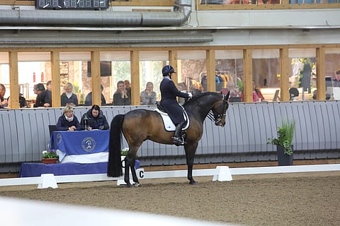 Kuinka monta Tallin tyyppiä näet kuvassa?