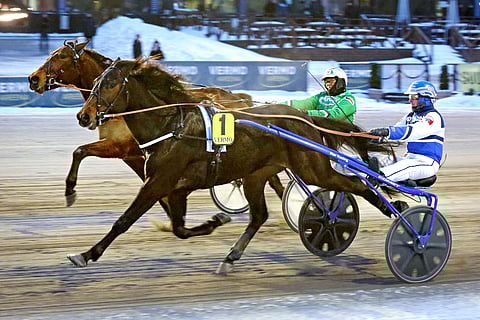 Quadriofoglio petrasi Jokimaalla ennätystään kerralla 3,4 sekuntia. Kuva oriin Vermon 8.3. voittokisasta.