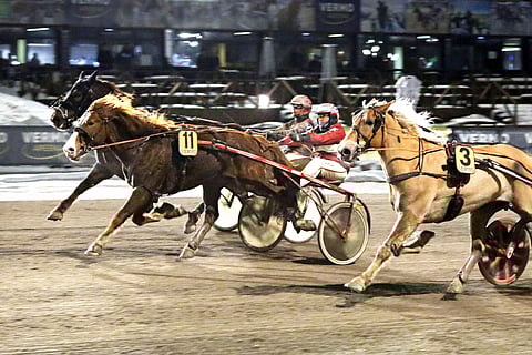 Masavesa runttasi loppusuoralla ykköseksi ohi sisäpuolella juosseen suosikki Villieläimen.