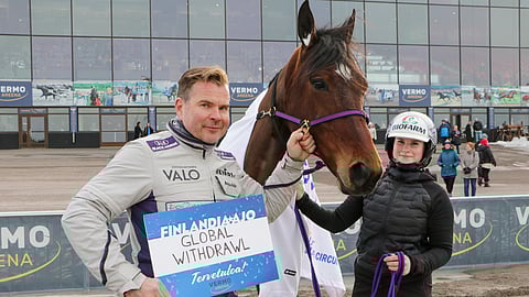 Matias Salo päättää Global Withdrawlin osallistumisesta Finlandia-Ajoon vasta maanantaina. Aada Salo on hevosen hoitaja.