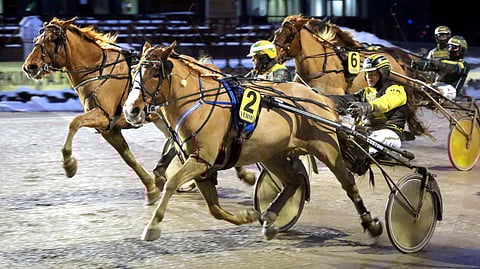 Huimassa kunnossa olevan Kuuselan Wiltteri on ideavihjeen varma.