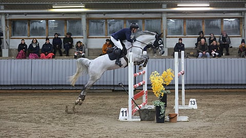 Kaksi päivää riitti Ceresille, jolta alkoivat ratsastajansa mukaan "paukut loppua". 
