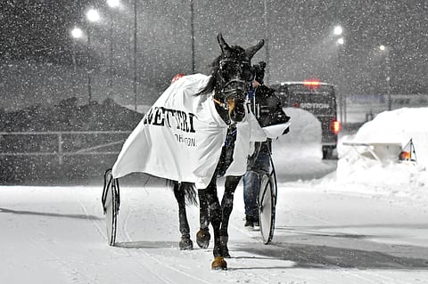 Kasper D.Boko paistatteli viime talvena Rovaniemellä Toto75-voittajana. Silloin sitä valmensi Antti Ojanperä.