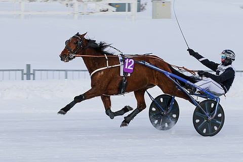 Edgeuptotop avasi kautensa Joensuussa 75-voitolla pitkän kirin päätteeksi. Heikki Mikkonen ohjasti.