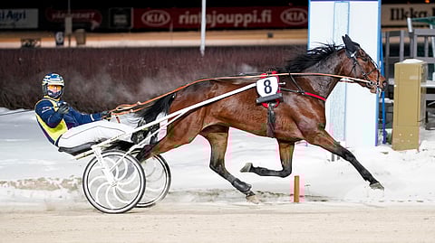 Tämän illan ideavarma Al's Boozy Suzy voitti viimeksi joulukuussa ja kuski Victor Björkroth sai tuulettaa. 