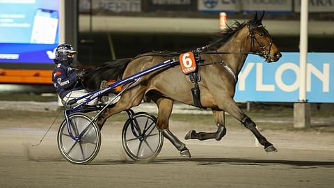 Xenia Comery ja Emma Väre ovat ideavihjeen varmoja. Emma antoi Xeania Comerystä ja tämän tallikaverista Girls With Curlssista  kommentin Mobiiliheppaan. Kommentit luettavissa alla. 