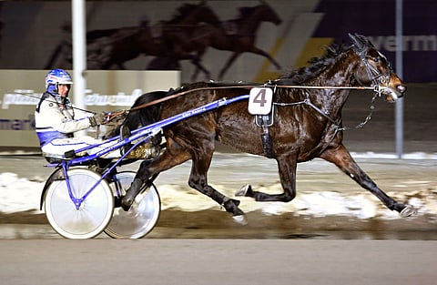 Citadella Evo voitto 20 Suomen startistaan kuusi. Tammaa valmentanut Pekka Korpi ajoi voitoista viisi.