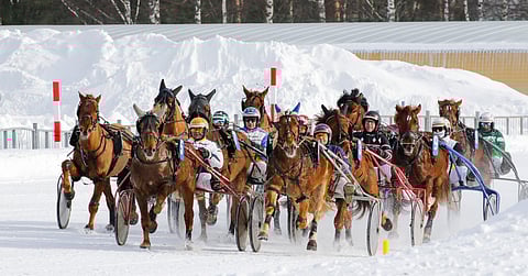 Kuvituskuva Joensuun ravit