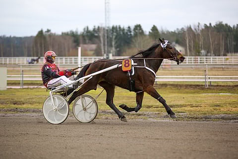 She's A Jedin alkuvuosi on ollut viimekertaisesta pettymyksestä huolimatta hieno.