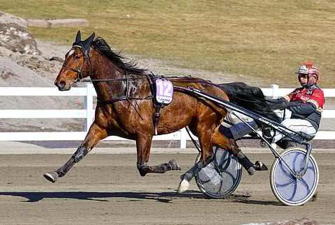 All Star Mint kilpaili kevään Tapio Perttusen treenistä.