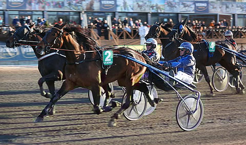 Ivory Susanne suuntaa Uudenmaan Upein -finaaliin karsintavoittajana.