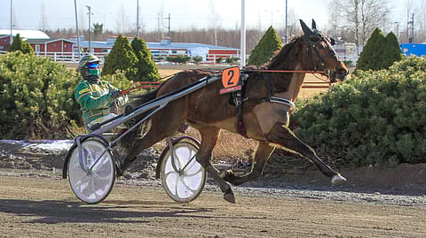 Effronte Photo on mennyt tänä vuonna hyvin, mutta vielä voitto puuttuu.