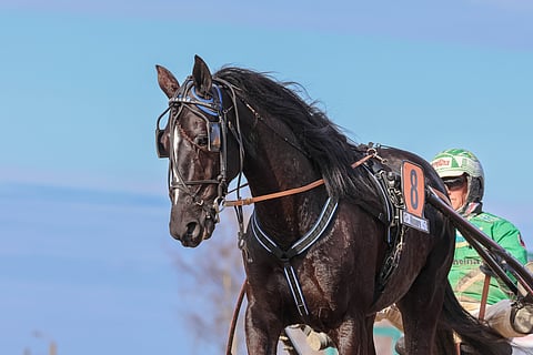 Consalvon odotettu paluu kilparadoille koittaa lauantaina Vermossa.