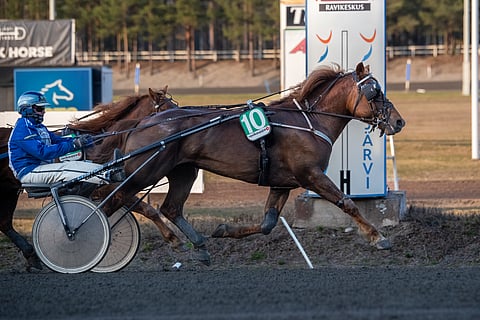 Jarmo Saarelan ja Mootsartin yhteistyö oli Teivossa täydellistä.