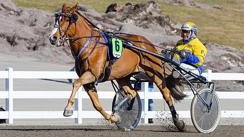 Kuuselan Wiltteri hakee Kuopiossa paluuta voittokantaan.