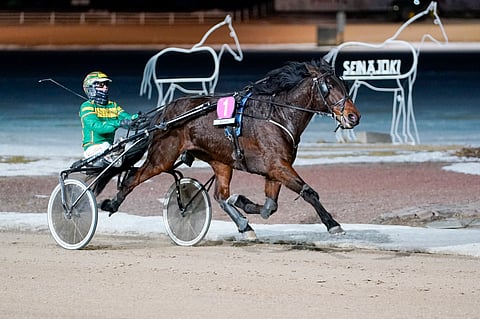 Fast Flash karkasi Jukka Torvisen kuskaamana kauas vastustajiltaan.