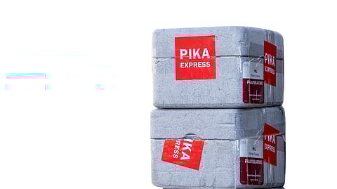 Miten siemenet saadaan ajoissa perille?