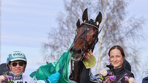 Mister Hercules vei viime vuonna voiton Seinäjoki Racessa.