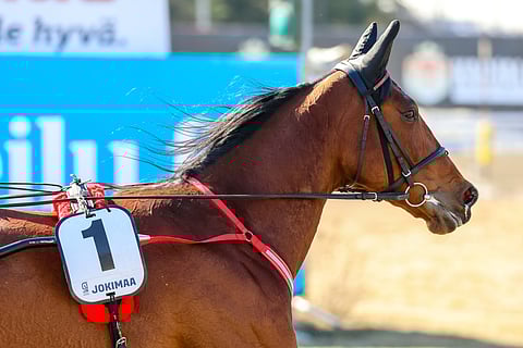 Kaikki alkoi siitä, kun Willow Pride antoi 15.5.2021 Kuopion raveissa positiivisen virtsanäytteen.