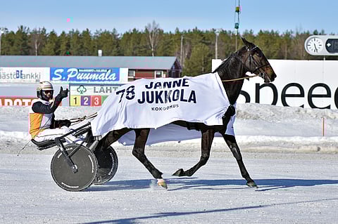 En Candy Till voitti 11 uransa 42 startista.